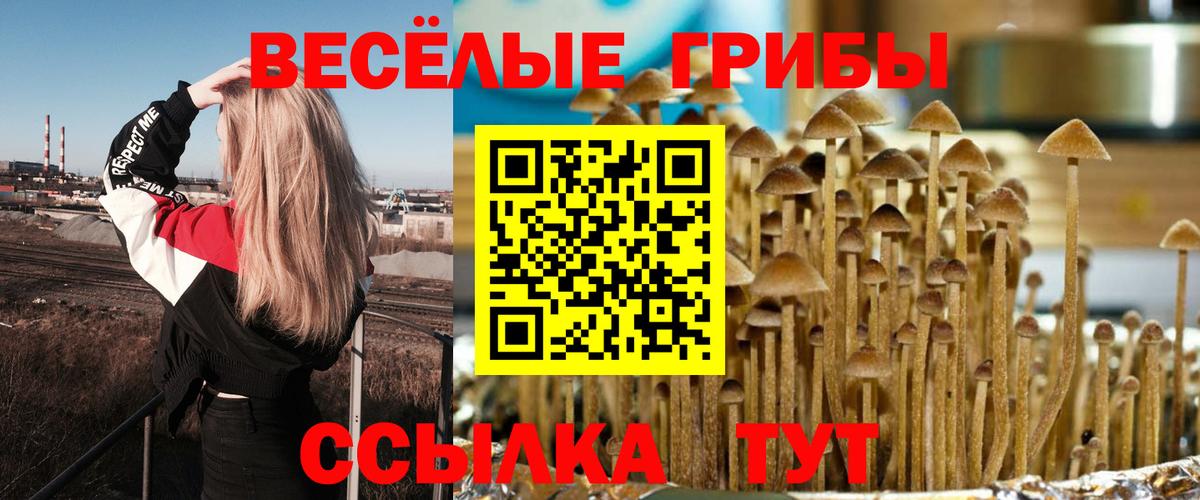 Галлюциногенные грибы MAGIC MUSHROOMS  Галлюциногенные грибы Magic Shrooms  Новочеркасск  даркнет сайт  Вход с VPN 